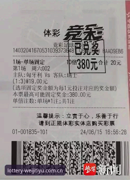 维基彩票体育数据中心深度分析：从数据源到投注决策的全面解析
